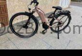 Giant amiti e+4 2022 avec chargeur original
