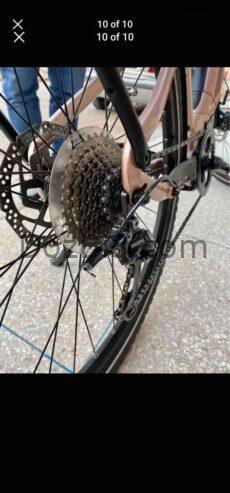 Giant amiti e+4 2022 avec chargeur original