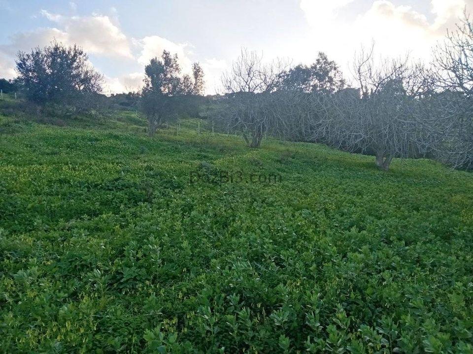 قطعة أرضية للبيع في قرية الزميج