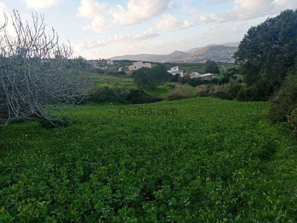 قطعة أرضية للبيع في قرية الزميج