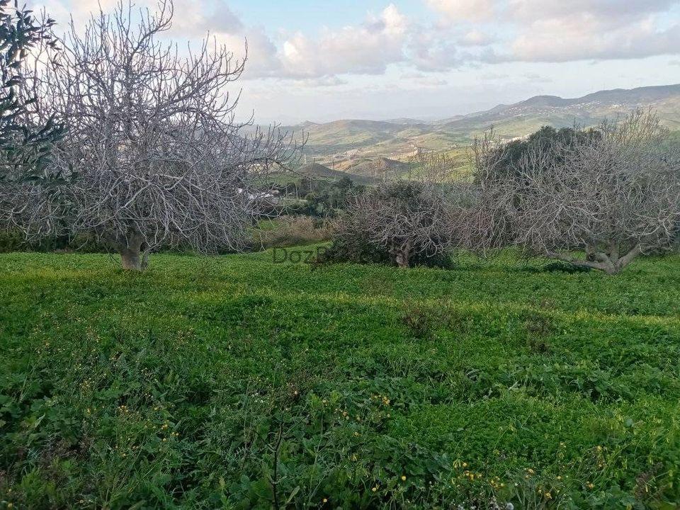 قطعة أرضية للبيع في قرية الزميج