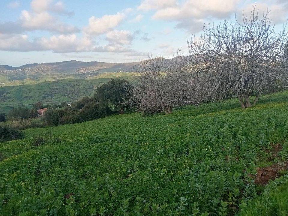 قطعة أرضية للبيع في قرية الزميج