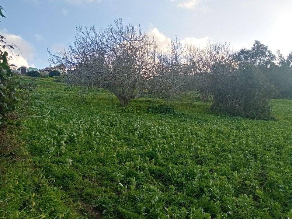 قطعة أرضية للبيع في قرية الزميج