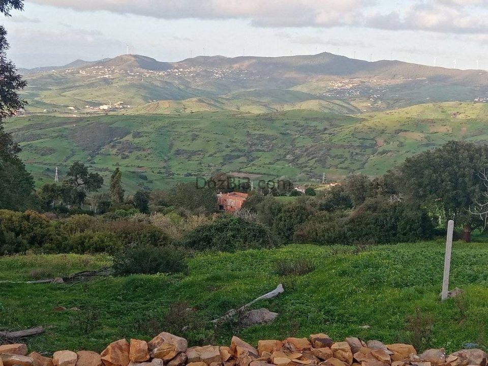 قطعة أرضية للبيع في قرية الزميج
