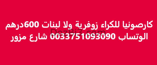كارصونيا للكراء