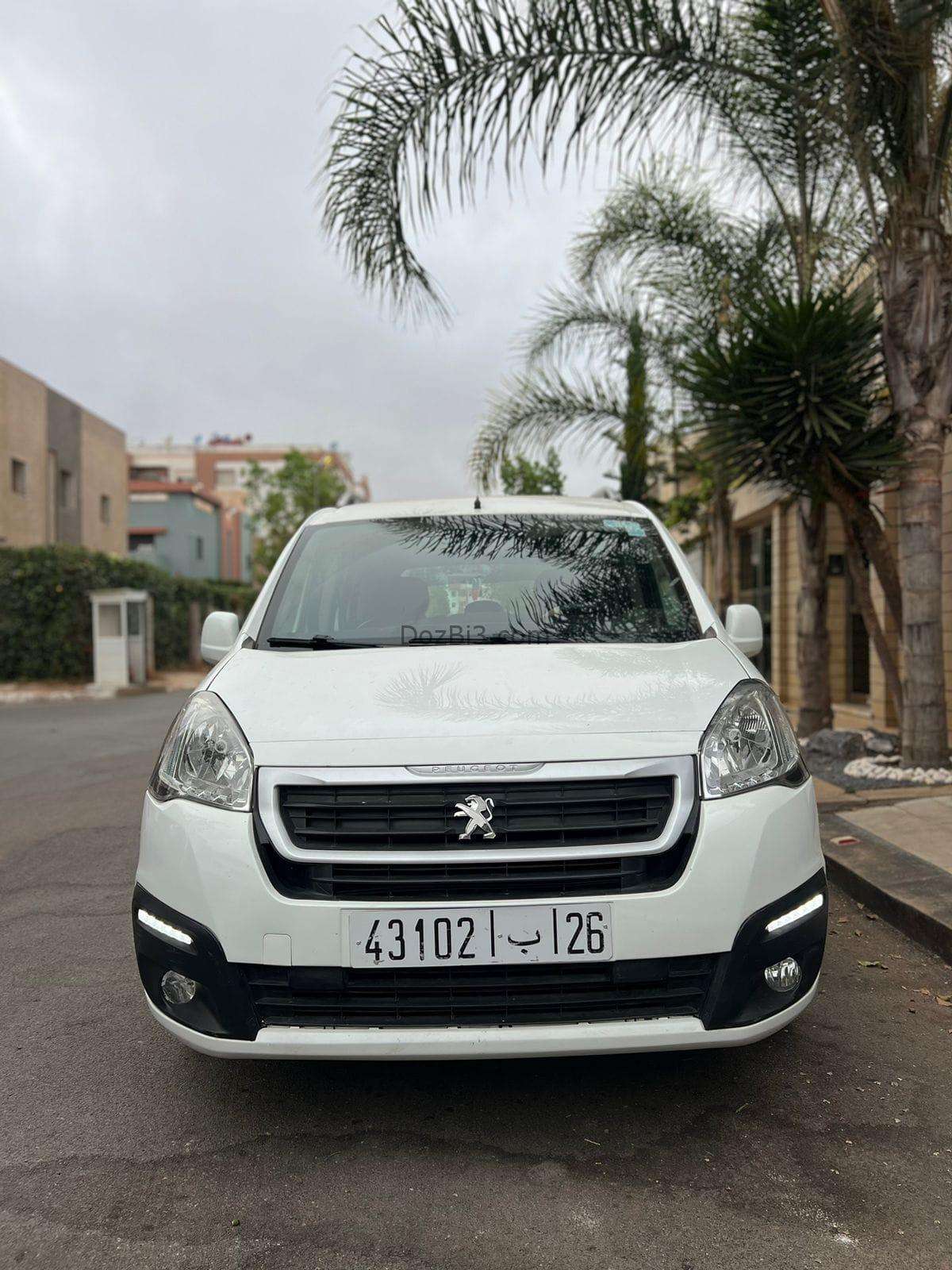 Tepee peugeot