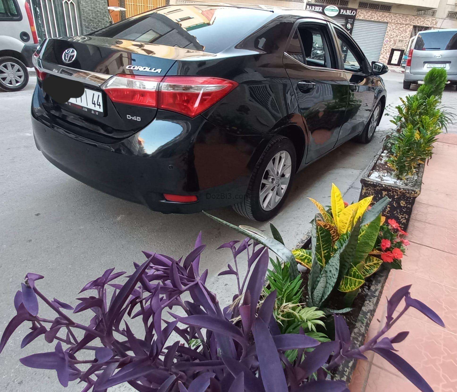 toyota corolla 2014