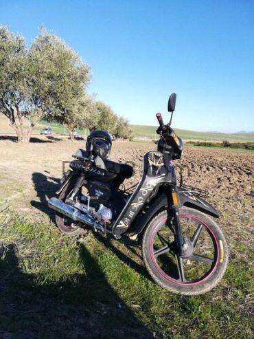 Moto a vendre meknes