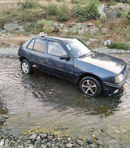 peugeot 205