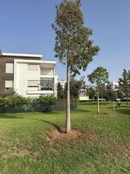appartement haut standing a vendre