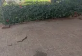 شقة للكراء حدا مسجد رمضان