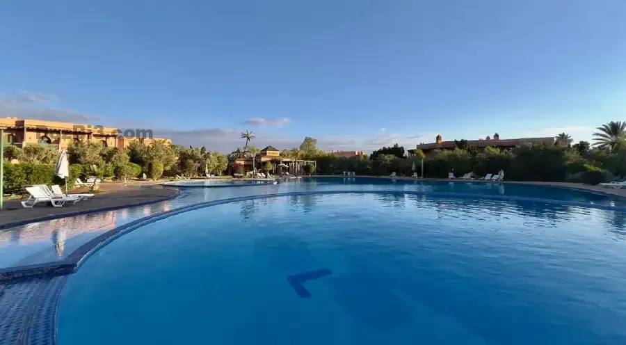 appartement à louer à Palmeraie