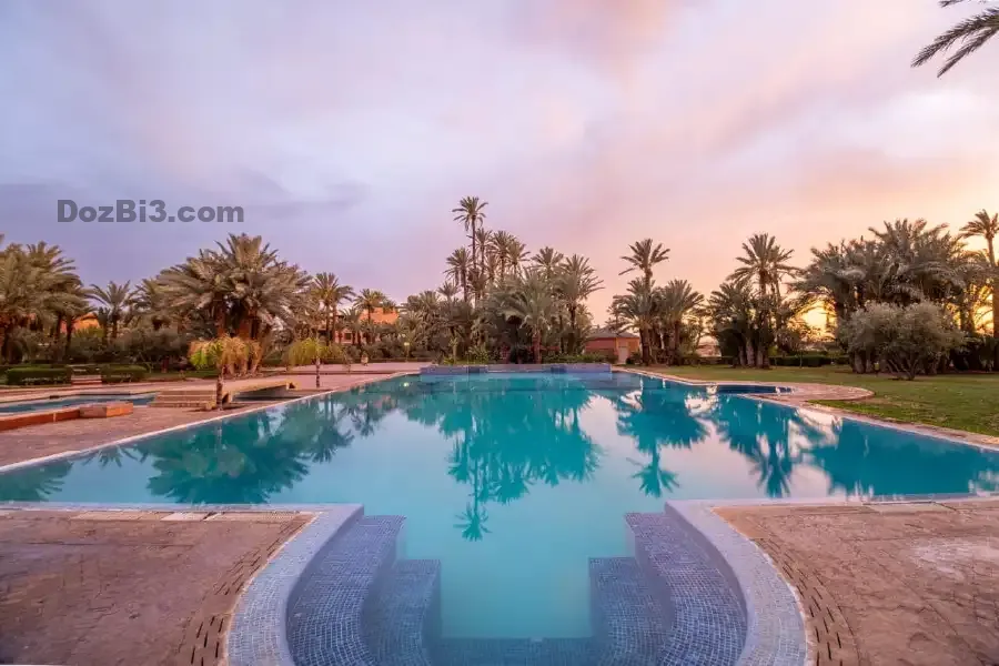 appartement à vendre palmeraie