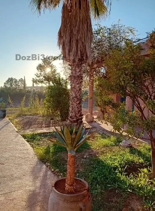 location villa longue durée route de Ouarzazate
