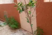 منزل للبيع في تامنصورت الشطر الثاني