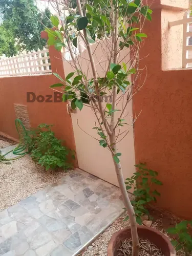 منزل للبيع في تامنصورت الشطر الثاني