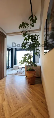 Location studio près de ghandi