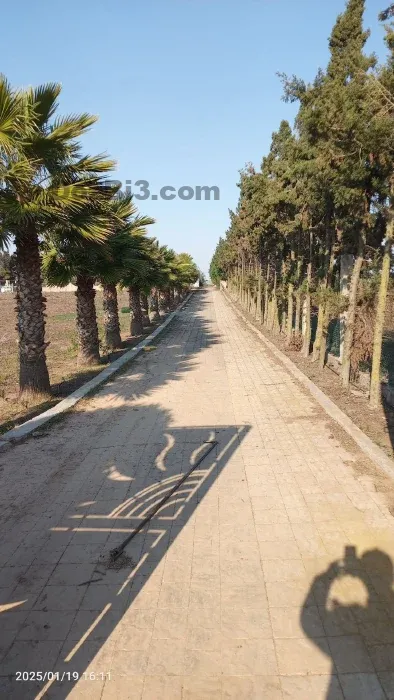 فيلا ومزرعة فاخرة بالقرب من أحد السوالم