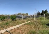 Ferme de luxe à vendre à Temara
