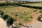 Ferme de luxe à vendre à Temara