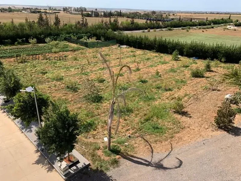 Ferme de luxe à vendre à Temara