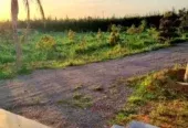 Ferme de luxe à vendre à Temara