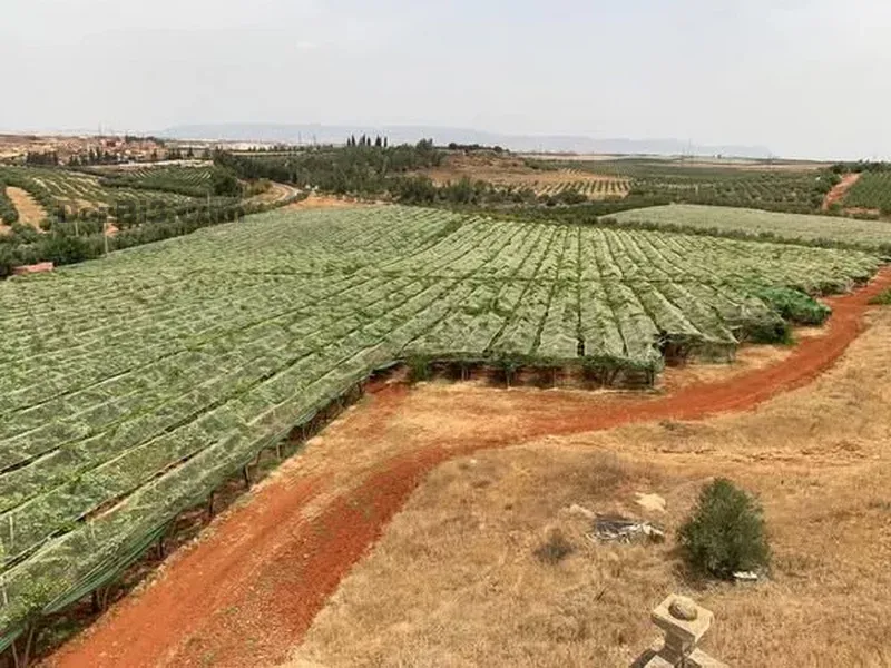 Ferme à vendre à Tafilalet à 9 minutes de Meknès
