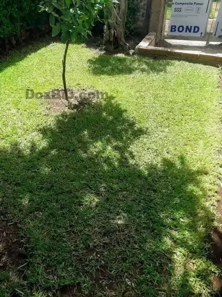 Villa à vendre à côté de Mimosa