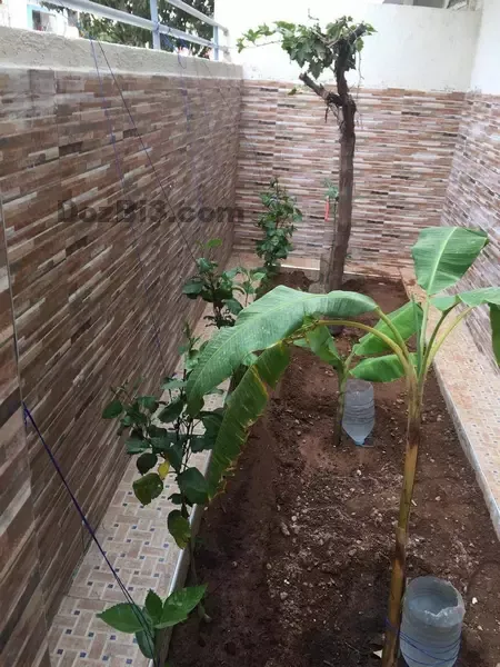 Villa vide à louer Hay Farah