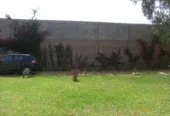 Maison de campagne a louer sidi abdellah Ghiat