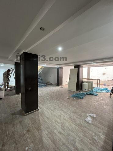 DUPLEX EN COURS DE RÉNOVATION VICTOR HUGO