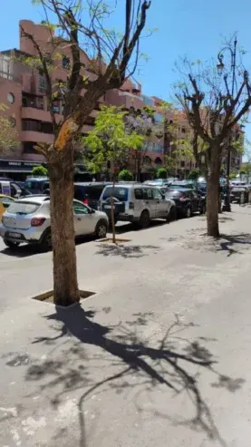Magasin d’angle sur le boulevard Abdelkrim El Khattabi