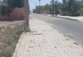 Terrain titré à vendre au cœur de la Palmeraie de Marrakech