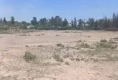Terrain titré à vendre au cœur de la Palmeraie de Marrakech