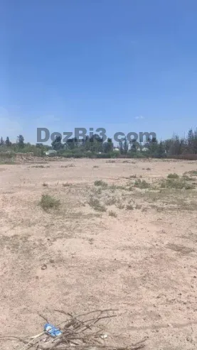 Terrain titré à vendre au cœur de la Palmeraie de Marrakech