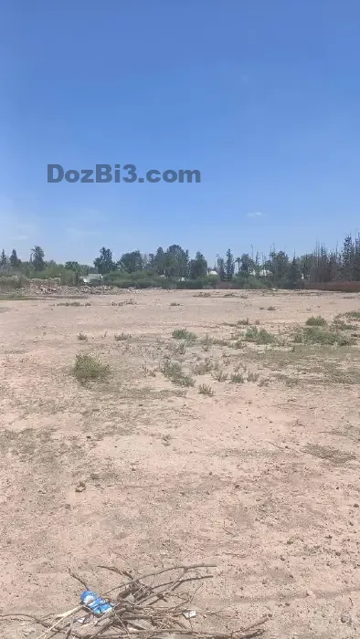 Terrain titré à vendre au cœur de la Palmeraie de Marrakech