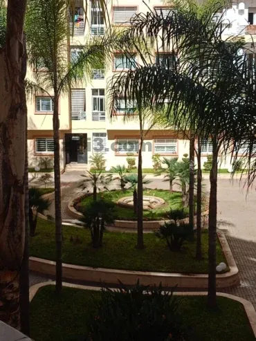 Appartement à louer à Oasis