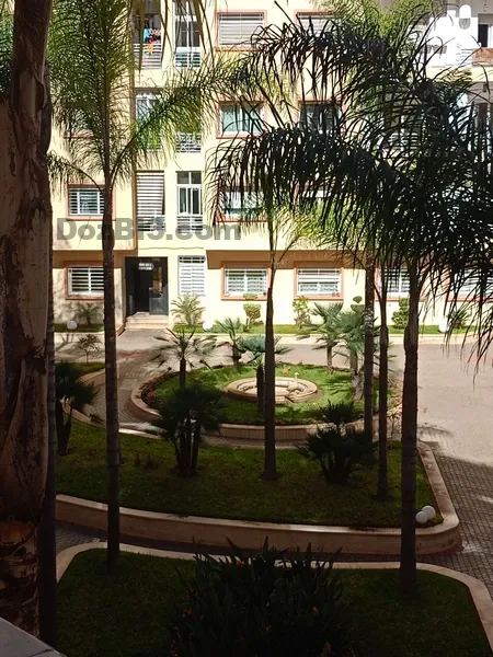 Appartement à louer à Oasis