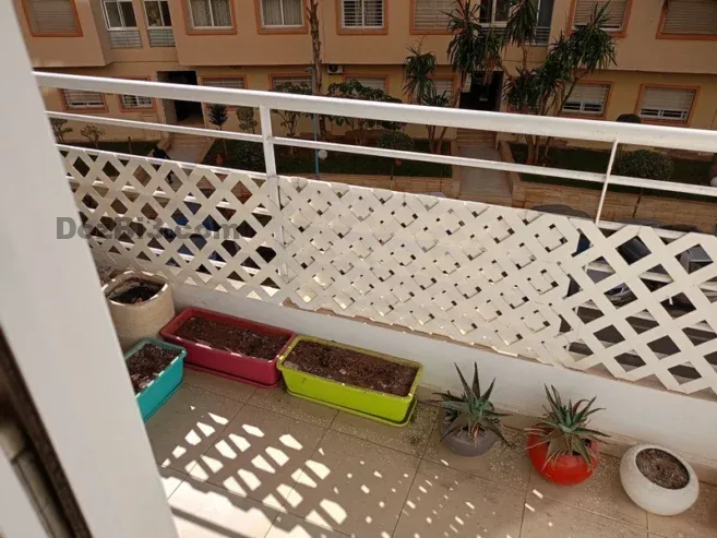 Appartement à louer à Oasis