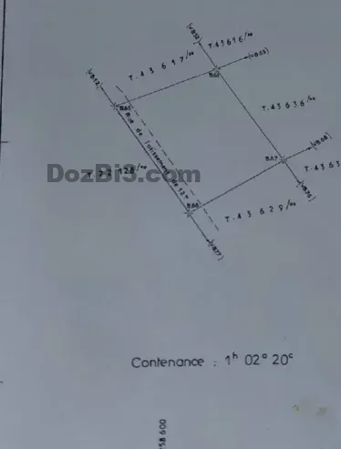 Terrain titré à vendre au cœur de la Palmeraie de Marrakech