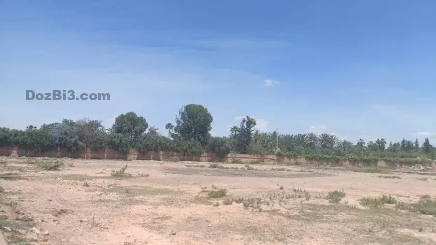 Terrain titré à vendre au cœur de la Palmeraie de Marrakech