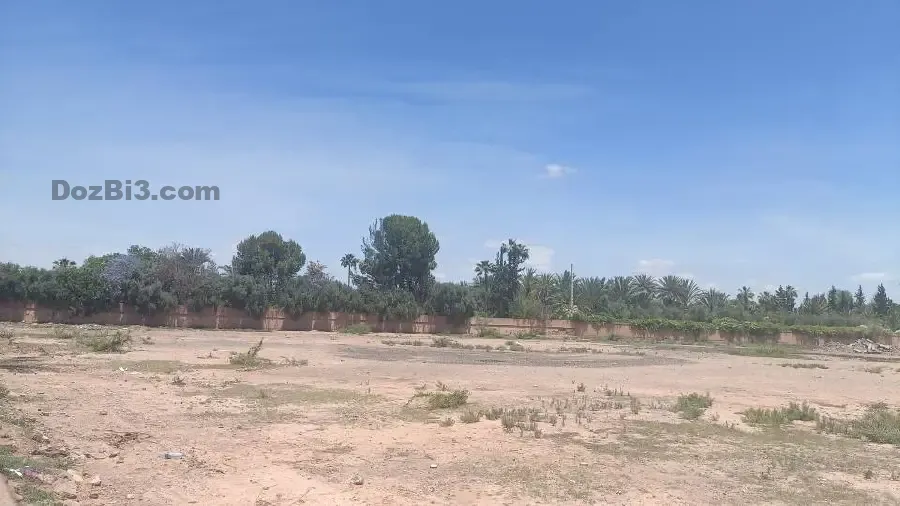 Terrain titré à vendre au cœur de la Palmeraie de Marrakech