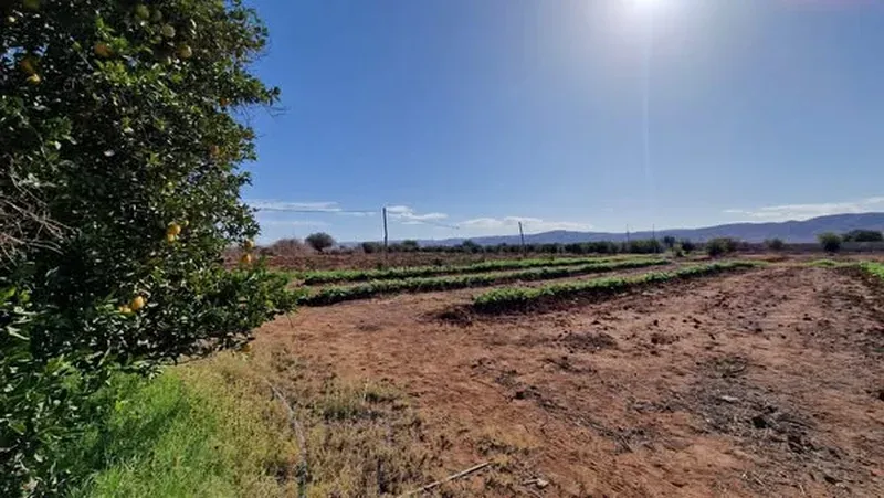 Ferme à vendre