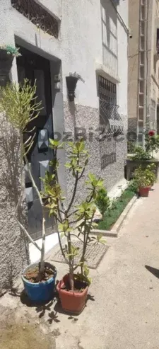 Appartement meublé à louer à la journée