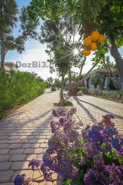 Villa Argan avec piscine privée – proche Agadir