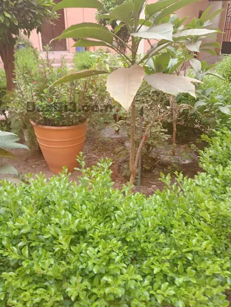 Appartement à vendre – Doudiyat Asil