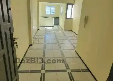 499821029_1223872896190680_7563841574936228327_n