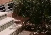 Villa à vendre à Ait Melloul (AL MAGHREB AL ARABI)