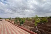 Ferme à vendre à Berrechid, commune de Mubarakiyyin