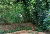 Villa a vendre charaf